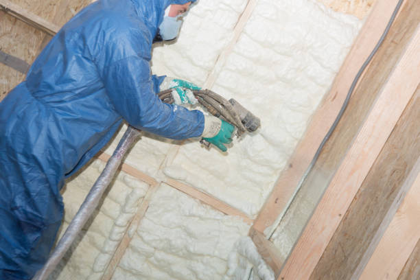 Best Insulation for Existing Homes  in USA